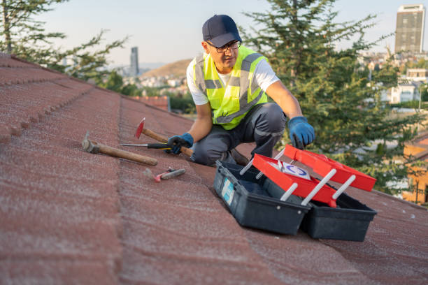 Best Insulated Siding Installation  in Williston Highlands, FL